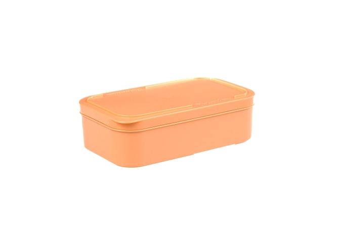 Food Container Orange